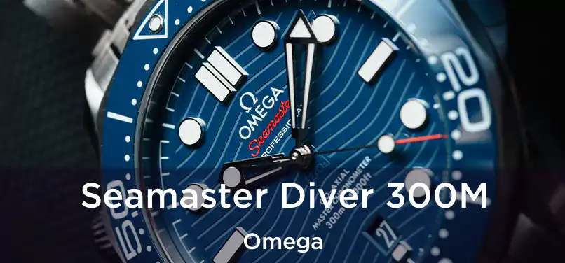 Seamaster Diver 300M Omega