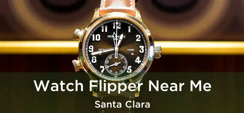 Watch Flipper Near Me Santa Clara